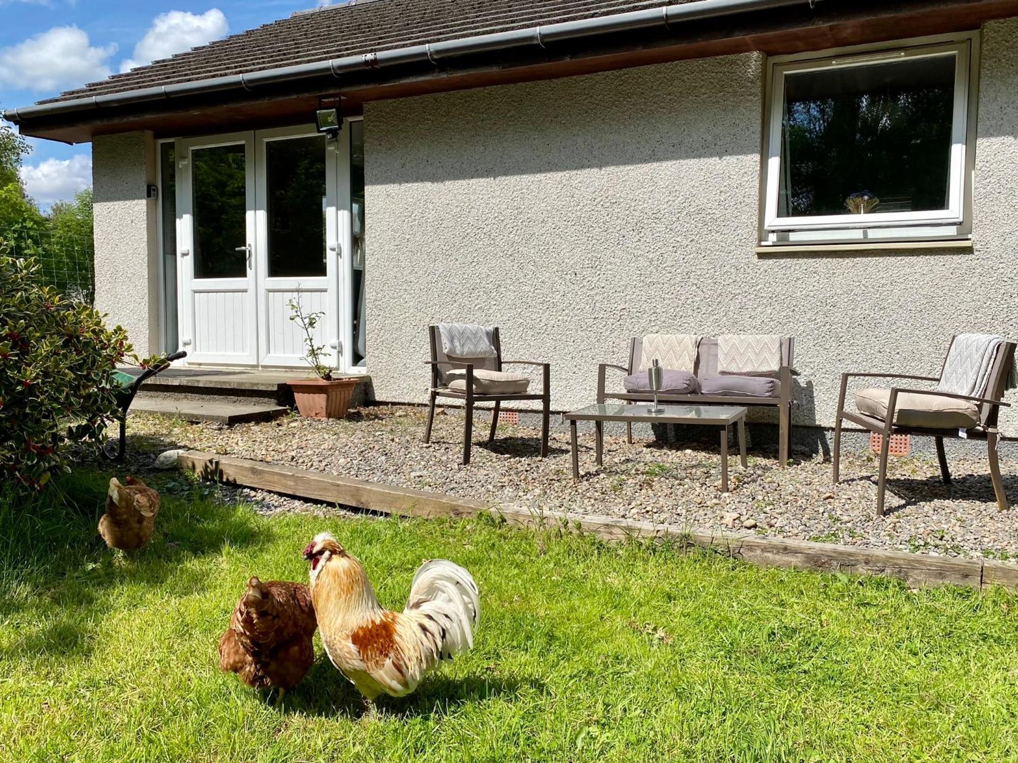 Homestead Cottage, Fort Augustus Exteriör bild